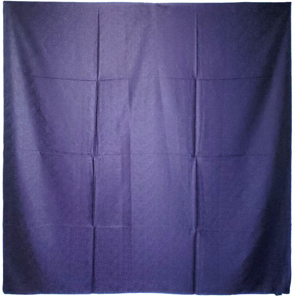 NWT Double Sided Silk Scarf 52"x52" Large Square Shawl Wrap XiangYunSha 3666 - Picture 8 of 12